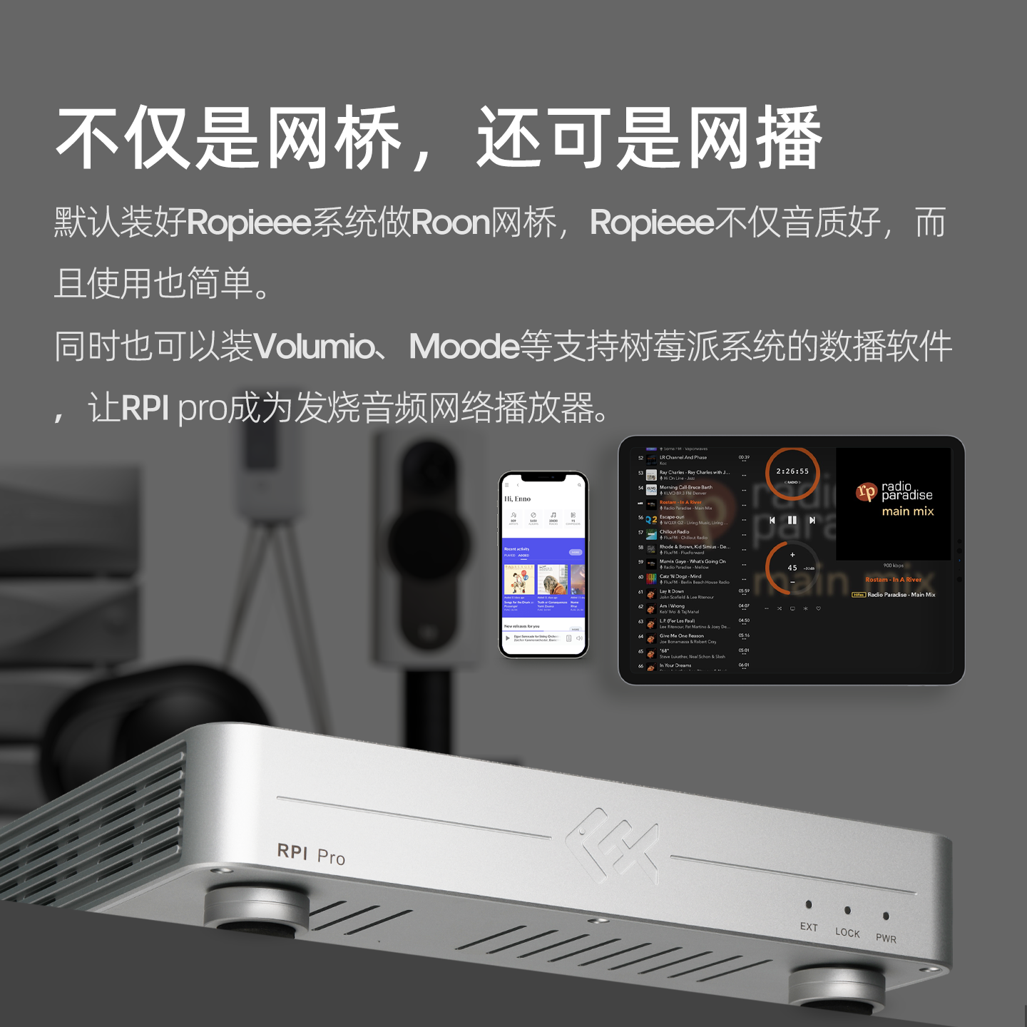Tiger Fish Audio RPI Pro Strea - Music Audio Pro reseña y precio