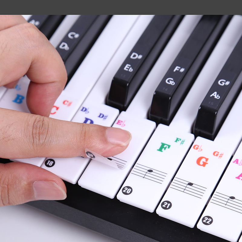 Transparent Piano Keyboard Sti - Keyboard Piano 61 Key reseña y precio