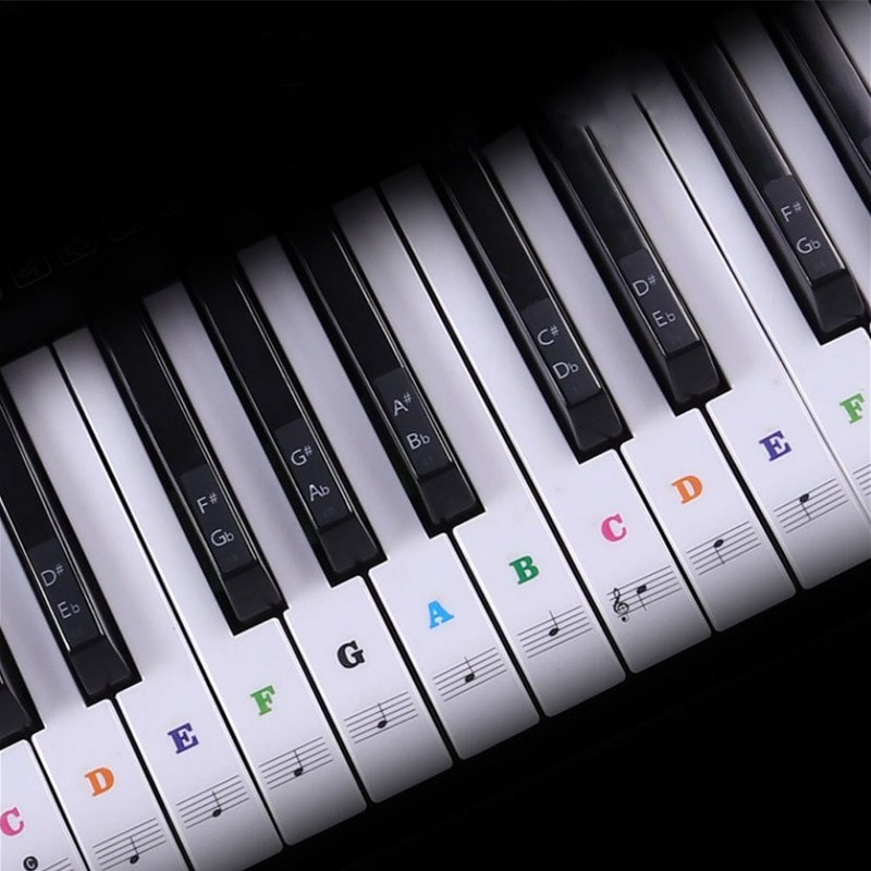 Transparent Piano Keyboard Sti - Keyboard Piano 61 Key reseña y precio