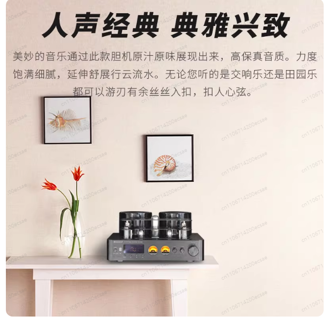 220V 400W * 2 High Fidelity Wi - Audio Music Youtube reseña y precio